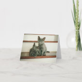 Carte de note d'innocence (Devant)