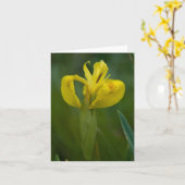 Carte de note d'iris jaune (Fleur jaune)