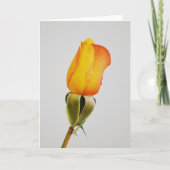 Carte de note d'or Orange Rose Bud Art (Devant)
