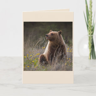 Carte de note d'ours - blanc