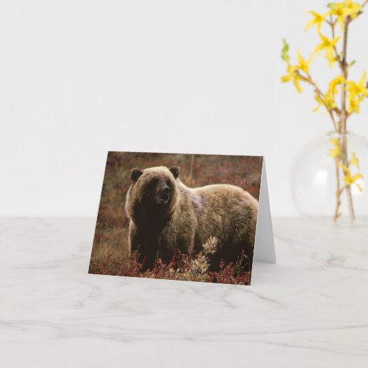 Carte de note d'ours gris (Fleur jaune)