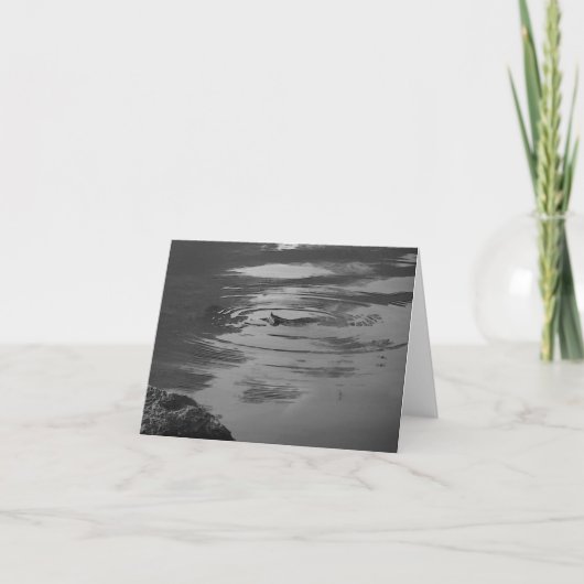 Carte de note Dragonfly Zen Pond (Devant)