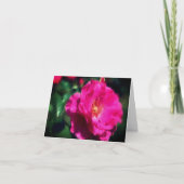 Carte de note en blanc d'Art rose Rose Flower (Devant)