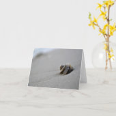 Carte de note en spirale de plage de coquillage (Fleur jaune)