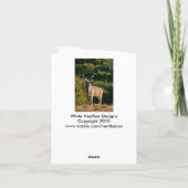 Carte de note est de Kudu de cap (Dos)