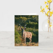 Carte de note est de Kudu de cap (Fleur jaune)