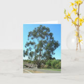 Carte de note - Eucalyptus au pont (Fleur jaune)