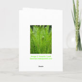 Carte de note Fern Shots (Dos)