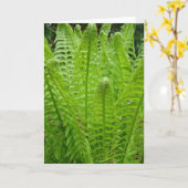 Carte de note Fern Shots (Fleur jaune)