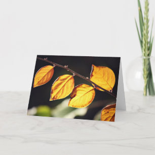 Carte de note Feuilles Automnes Jaunes