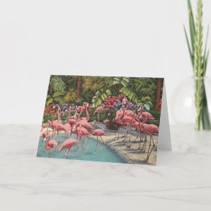 Carte de note Flamboyance de Flamants Roses