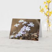 Carte de note Fleur sauvage de printemps violet (Fleur jaune)