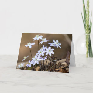 Carte de note Fleur sauvage de printemps violet