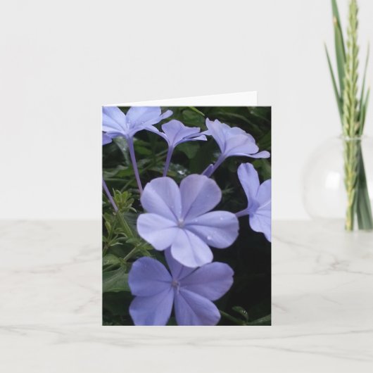Carte de note Fleurs violettes (Devant)