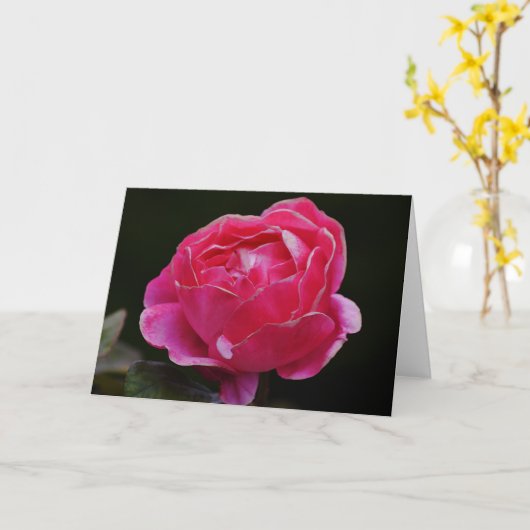 Carte de note florale Rose de bord rose blanc (Fleur jaune)