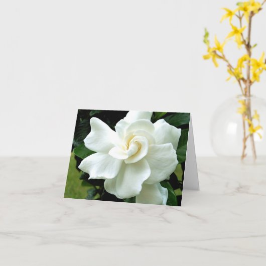 Carte de note Gardenia (Fleur jaune)