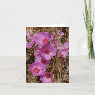 Carte de note Godetia