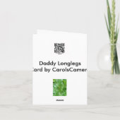 Carte de note Harvman Daddy Longlegs (Dos)