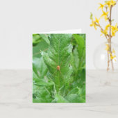 Carte de note Harvman Daddy Longlegs (Fleur jaune)