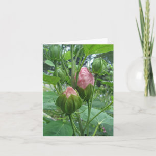 Carte de note Hibiscus Buds