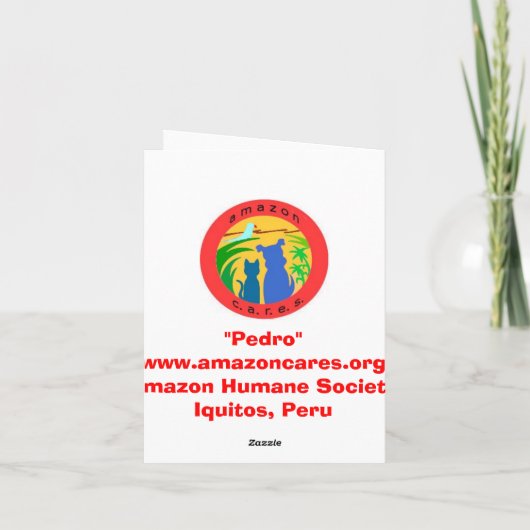 Carte de note humanitaire de "Pedro" de société (Dos)