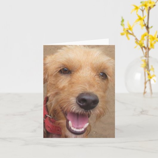 Carte de note humanitaire de "Pedro" de société (Fleur jaune)