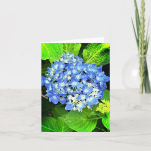 Carte de note Hydrangea
