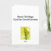 Carte de note IBSP Beach Solidago (Goldenrod) (Dos)