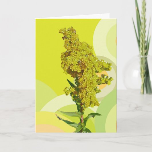 Carte de note IBSP Beach Solidago (Goldenrod) (Devant)