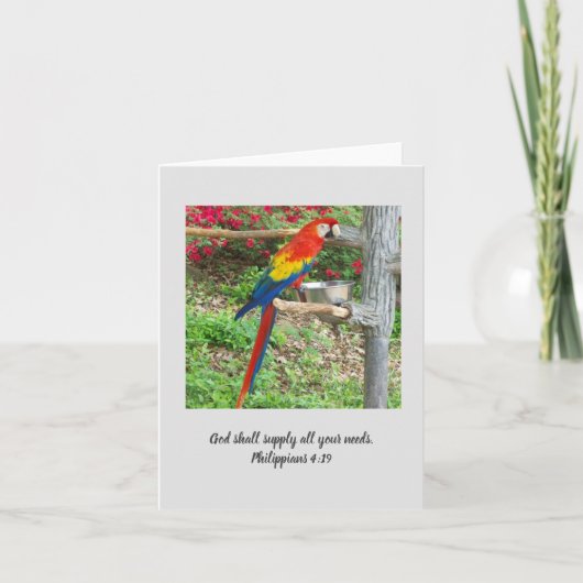 Carte de note Inspiration Parrot (Devant)