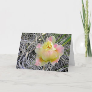 Carte de note jaune de fleur de cactus