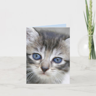 Carte de note Kitten