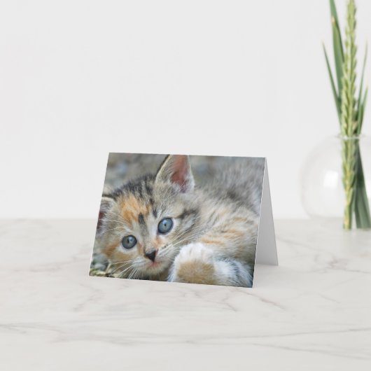 Carte de note Kitten (Devant)