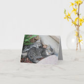 Carte de note Kittens (Fleur jaune)