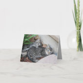 Carte de note Kittens (Devant)