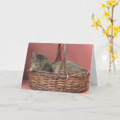 Carte de note Kitty Dormir (Fleur jaune)