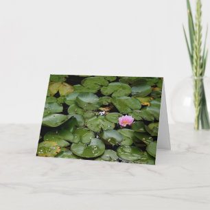 Carte de note Lily Pond