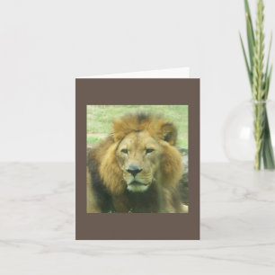 Carte de note Lion