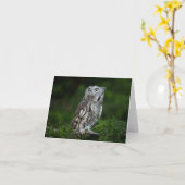 Carte de note Little Screech Owl (Fleur jaune)