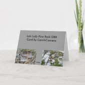 Carte de note Lob Lolly Pine Bark (Dos)