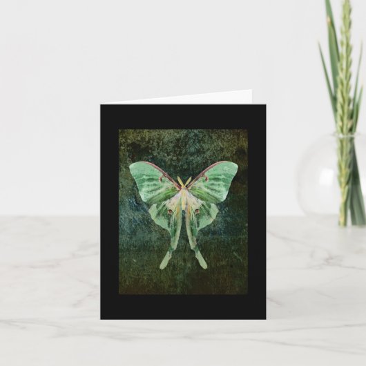 Carte de note Luna Moth (Devant)