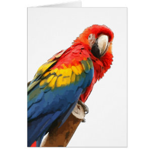 Carte de note Macaw Scarlet