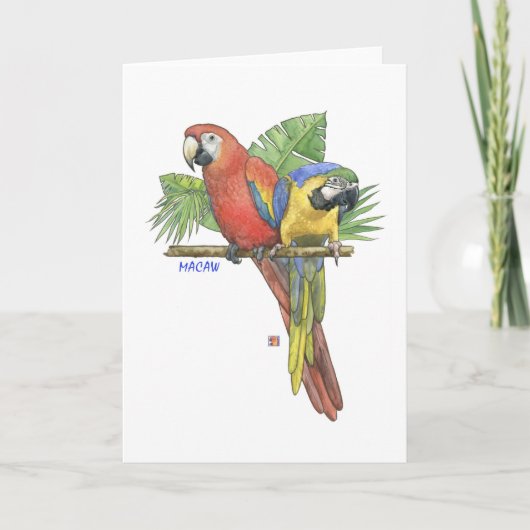 Carte de note Macaws Tropical (Devant)