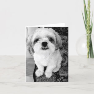 Carte de note mignonne de Shih Tzu
