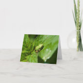 Carte de note minuscule de grenouille (brillante) (Devant)