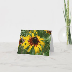 carte de note Noir-eyed de Susan