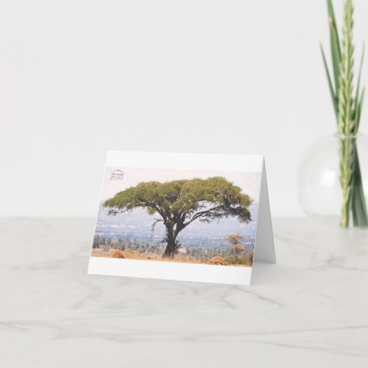 Carte de note noire Beteseb Felega (Devant)