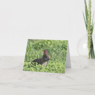 Carte de note noire photo lapin Brown