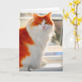 Carte de note norvégienne ardente de chat de forêt (Fleur jaune)