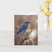 Carte de note Oiseau bleu sur une cosse de asclépi (Fleur jaune)